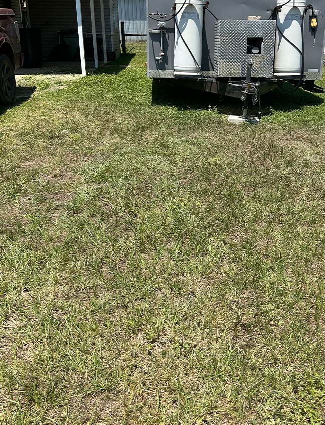 cleared over growth over growth around a food vendor trailer