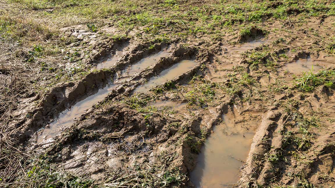 Mudding tire tracks through lawn grass