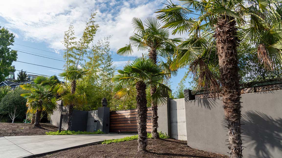 gated-home-with-palm-trees